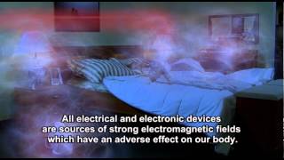 Human exposure to the effects of the electromagnetic field