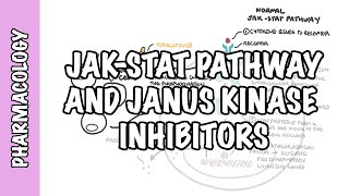 jak janus kinase pathway inhibitor tofacitinib pharmacology mechanism of action side effects