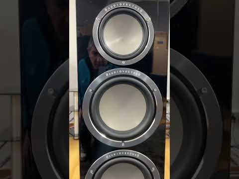 AUDIOVECTOR QR7 SE & QR3 SE #hifistereo #audio #hiendaudio @audiovector6174 #altafidelidad