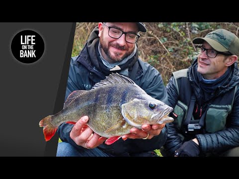 Perch Fishing with Thom Hunt