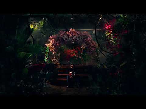 Tomi Marfă and 3 more