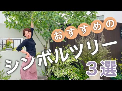 ナナカマド、ナナカマドベリー 植物