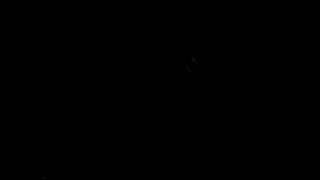 Art Brut &quot;Rusted Gun of Milan&quot;