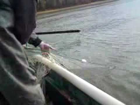 pescuitul comercial la galati