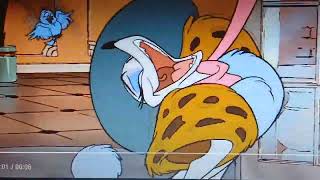 Feedfancier dog's uvula