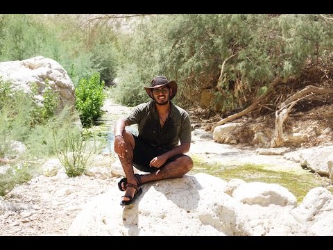 THE BEST PLACE IN ISRAEL - Israel Vlog
