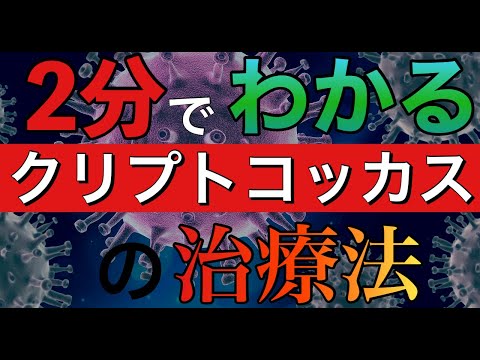 猫のクリプトコッカス症 - 症状と治療法