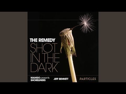 Shot In The Dark (Mango pres. Shoreliners Remix)