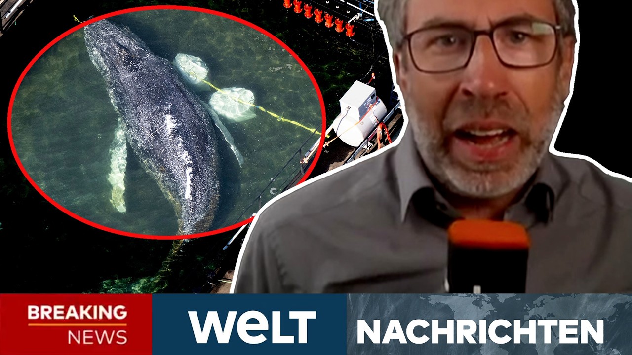 USA: "Kaputtes Land! Keine Ahnung!" Trump attackiert Merz frontal und droht Deutschland! I WELT LIVE