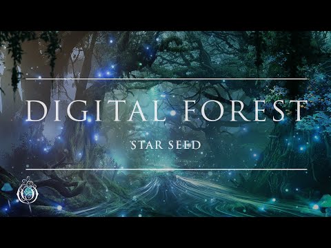 Video thumbnail for Digital Forest
