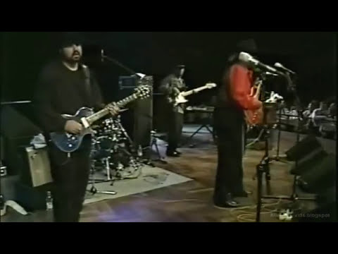 Lonnie Brooks  -  Watch Dog  #blues #guitar #music