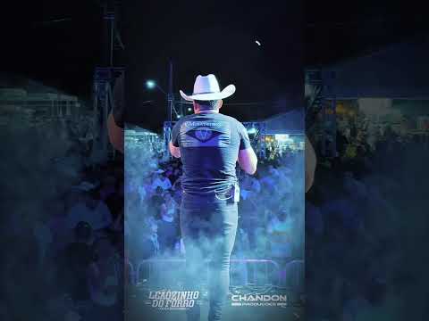 Começamos colmeia TOCANTINS #boanoiteee #bondesertanejo #sertanejo