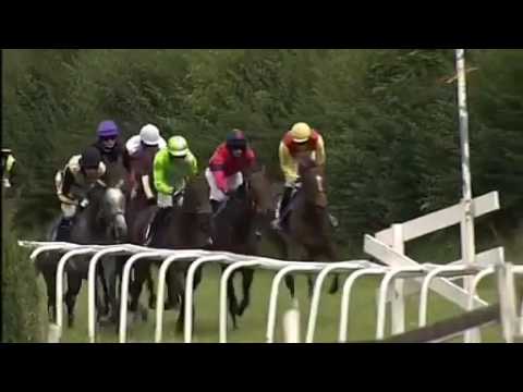2016.07.28 Große Bad Harzburger Hürden-Trophy (GER) - Koffi Lady