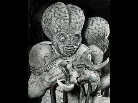 Madrotter ft. Wrath & Rufus Nusto - Jail Time In Orbit