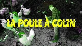 LA POULE À COLIN