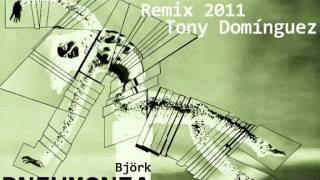Bjork- Pneumonia (Tony Dominguez The Soul &amp; The Sun Remix 2011)