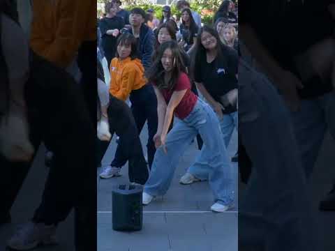 🇦🇺Kpop in Public - KATSEYE Debut