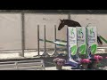 Jeune cheval 3 ans CSO - CCE