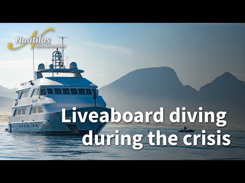 Diving during COVID-19 Crisis