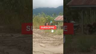 Download lagu muat pasir secara manual👍 #shorts mp3