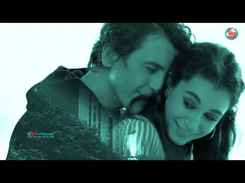 Orhan Gencebay - Ben Sevdim De Ne Oldu (1971)