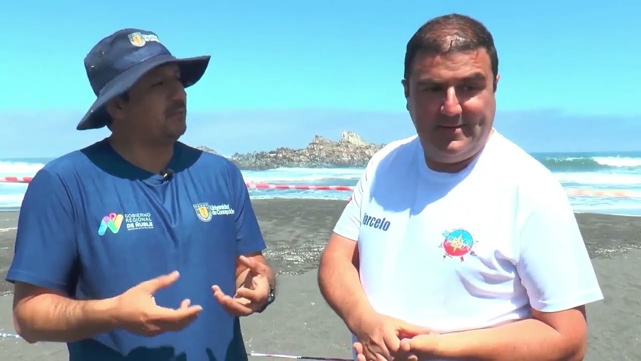 Cobquecura-Región del  Ñuble -Temporada 2025