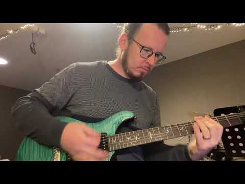 PRS Paul‘s Guitar SE demo/ review