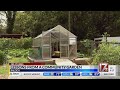 Lessons From A Community Garden In Raleigh