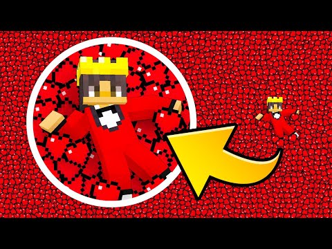 Mongo Has 1,000,000 Hearts in Minecraft!
