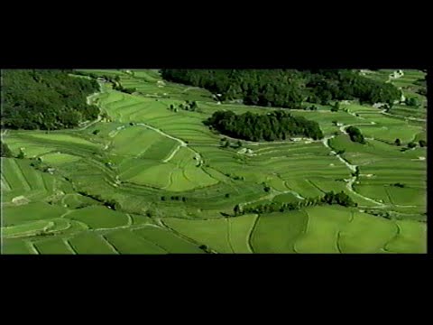 Japan's Secret Garden (2000)