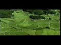 Japan S Secret Garden 2000