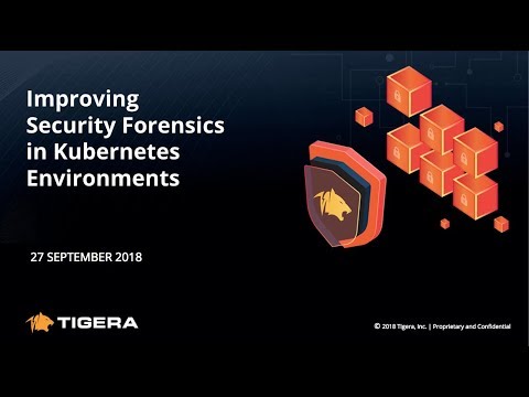 Improving Security Forensics in Kubernetes Environments
