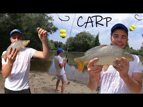 KAMPOVANJA NA TAMIŠU - PECANJE ŠARANA 5 DANA😀🐟🎣(DULE MENADZER) *krenuo je šaran*
