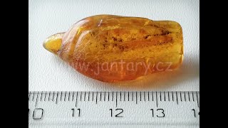 Baltský jantar P-8