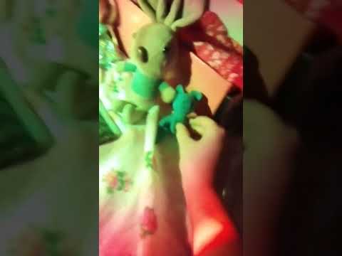 как обустроить уголок для басика своими руками дома