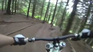 preview picture of video 'Triscombe Downhill - Original - July 2011'