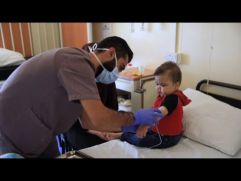 サラセミアについて詳しく解説