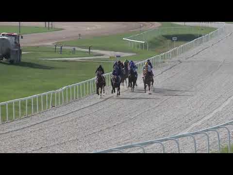 2018.09.16. 06. futam - VANITY QUEEN HENDIKEP (V/b.) (szintetikus pálya)