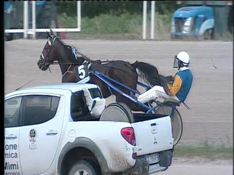 Trotto 12/11/2019 - 4ª corsa