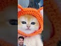 Billi Wala Tiktok Billi Cat Shorts