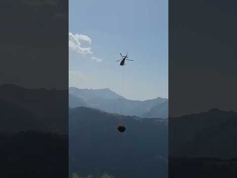 Wildheuen Fam. Reichenbach Lauenen b. Gstaad