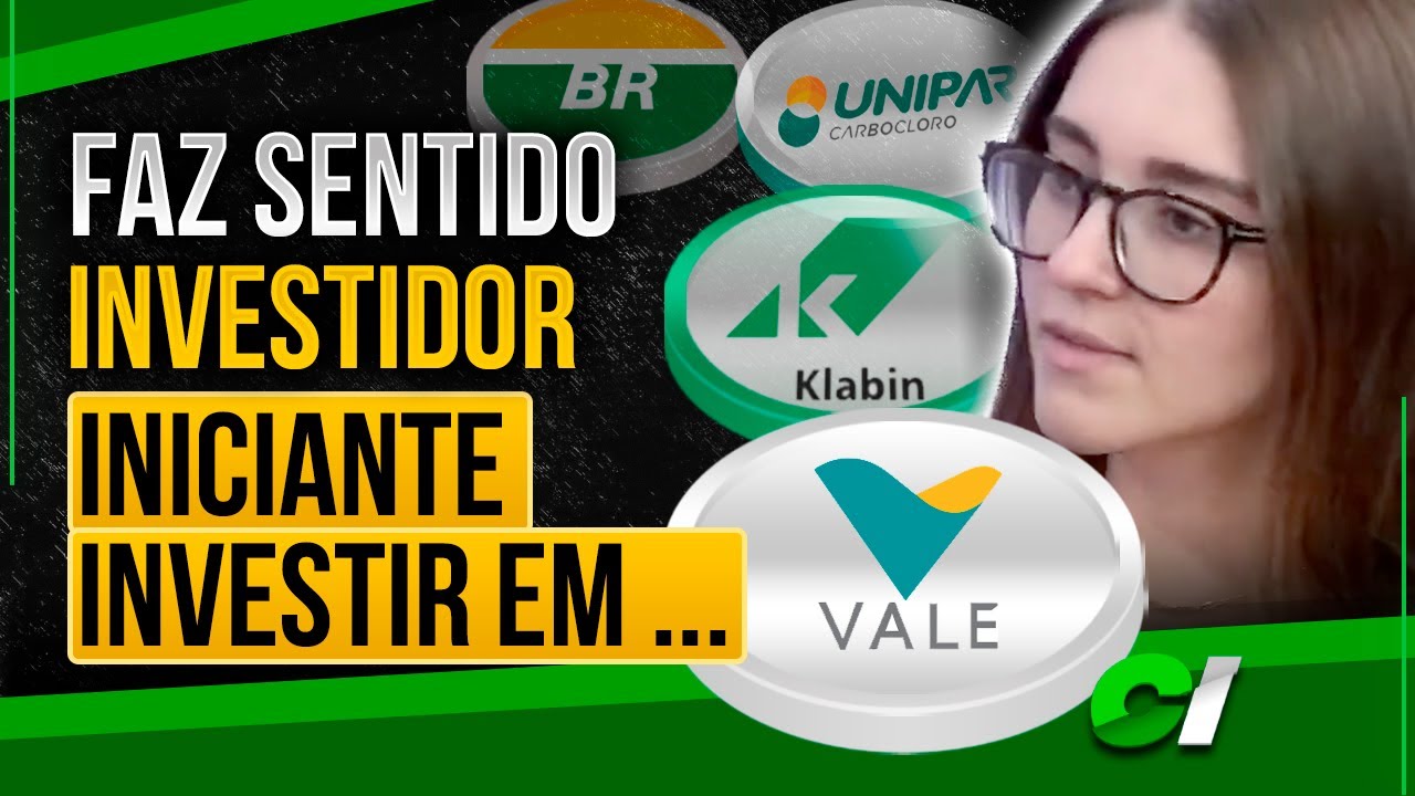 VALE, KLABIN, PETROBRAS E CSN MINERAÇÃO VALE A PENA? as COMMODITIES da LOUISE BARSI e JEAN MELO