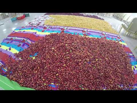 Mamma Day, Madhuban, 24th June 2021