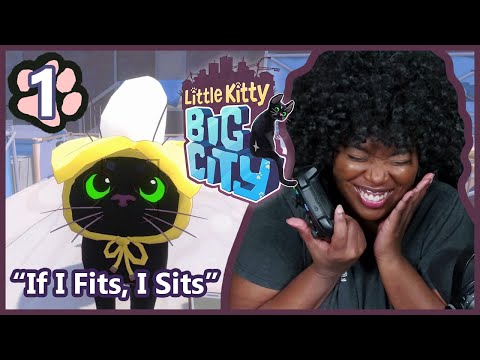 If I Fits, I Sits! | Little Kitty, Big City [Part 1]