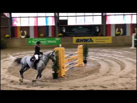 Alaba Springprüfung Klasse M* Leverkusen