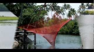 preview picture of video 'India Kerala Mararikulam Beach at Pollethai India Hotels Travel Ecotourism Travel To Care'