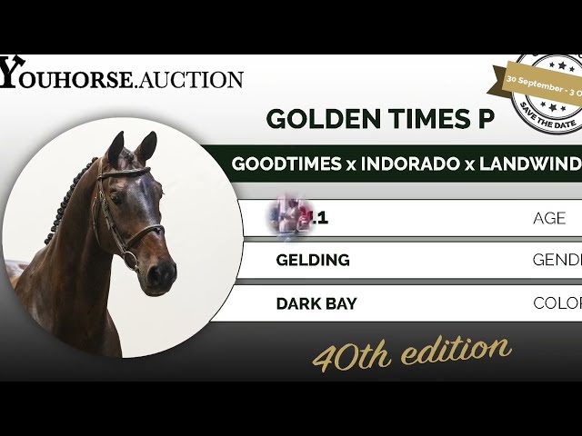 Golden Times P @ the show