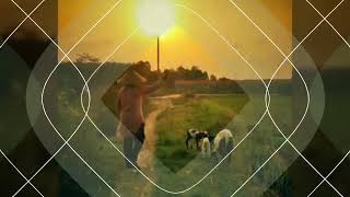 Download lagu Disini hati terpaut mp3 Download lagu Disini hati terpaut mp3