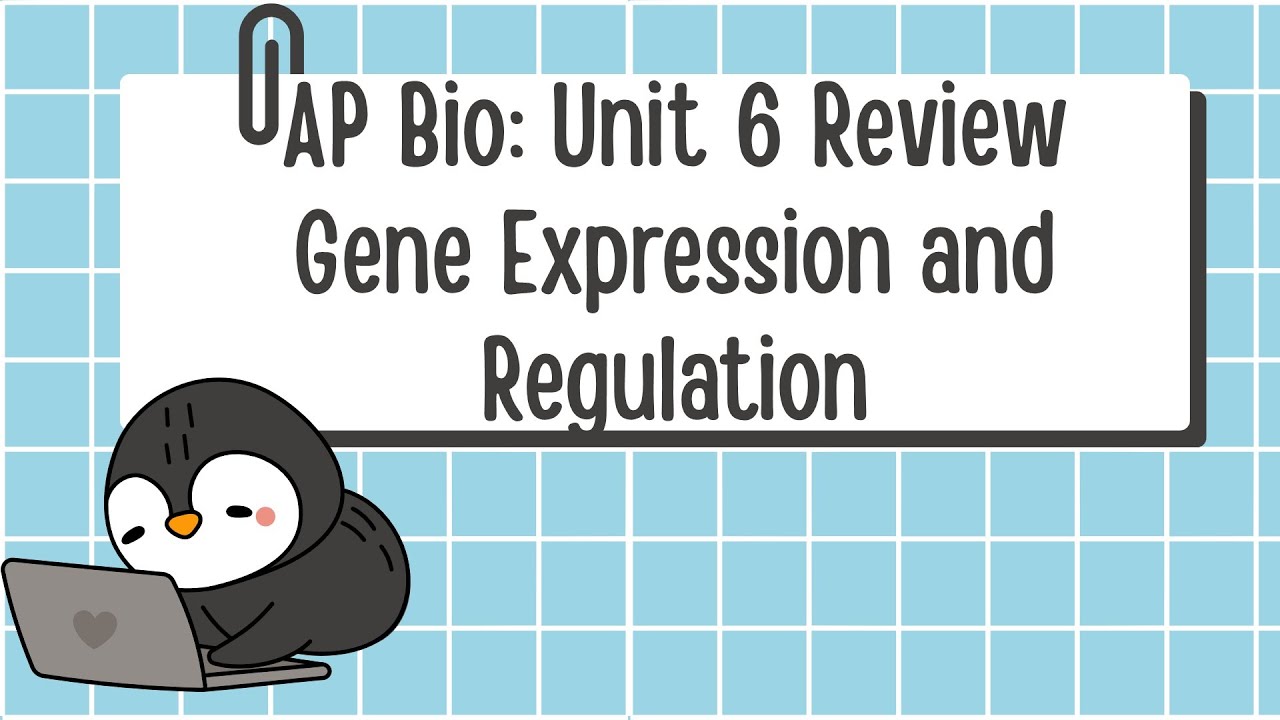 Unit 6 AP Biology Review