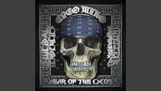 Cyco Side of the Brain